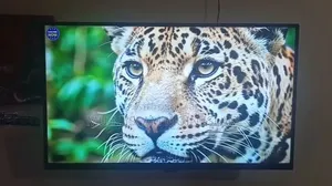 Smart LED TV Collection