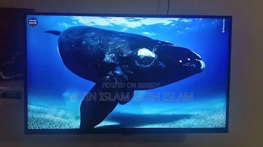 Smart LED TV Collection
