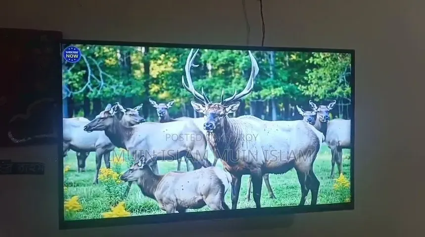Smart LED TV Collection
