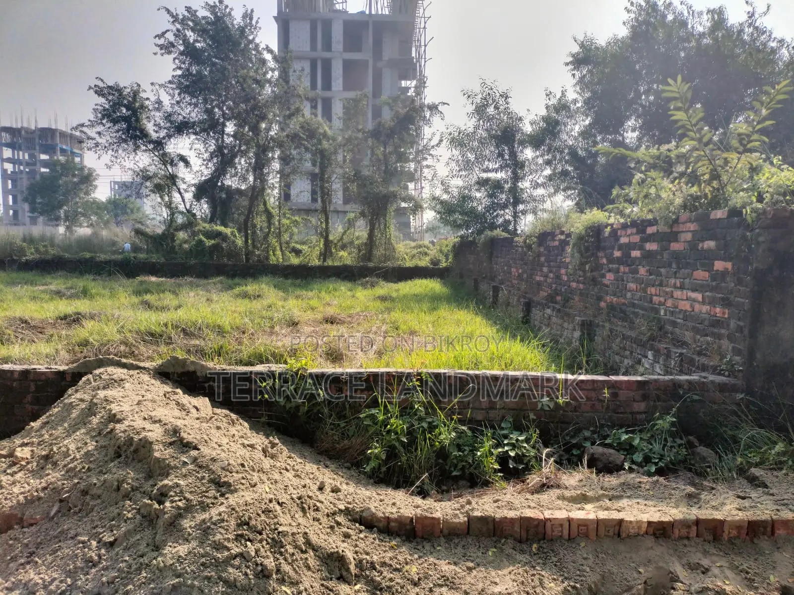 এম ব্লকে দক্ষিণমুখী প্লট