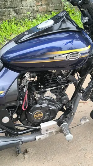 Bajaj Avenger 150 Street 2017 Blue