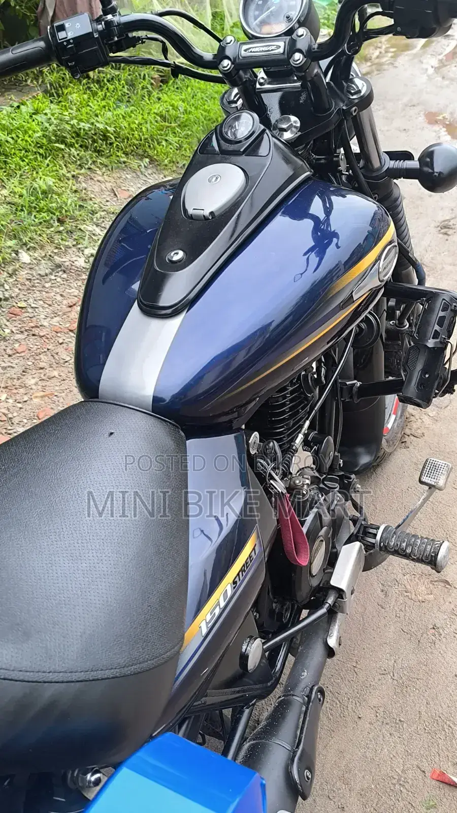 Bajaj Avenger 150 Street 2017 Blue