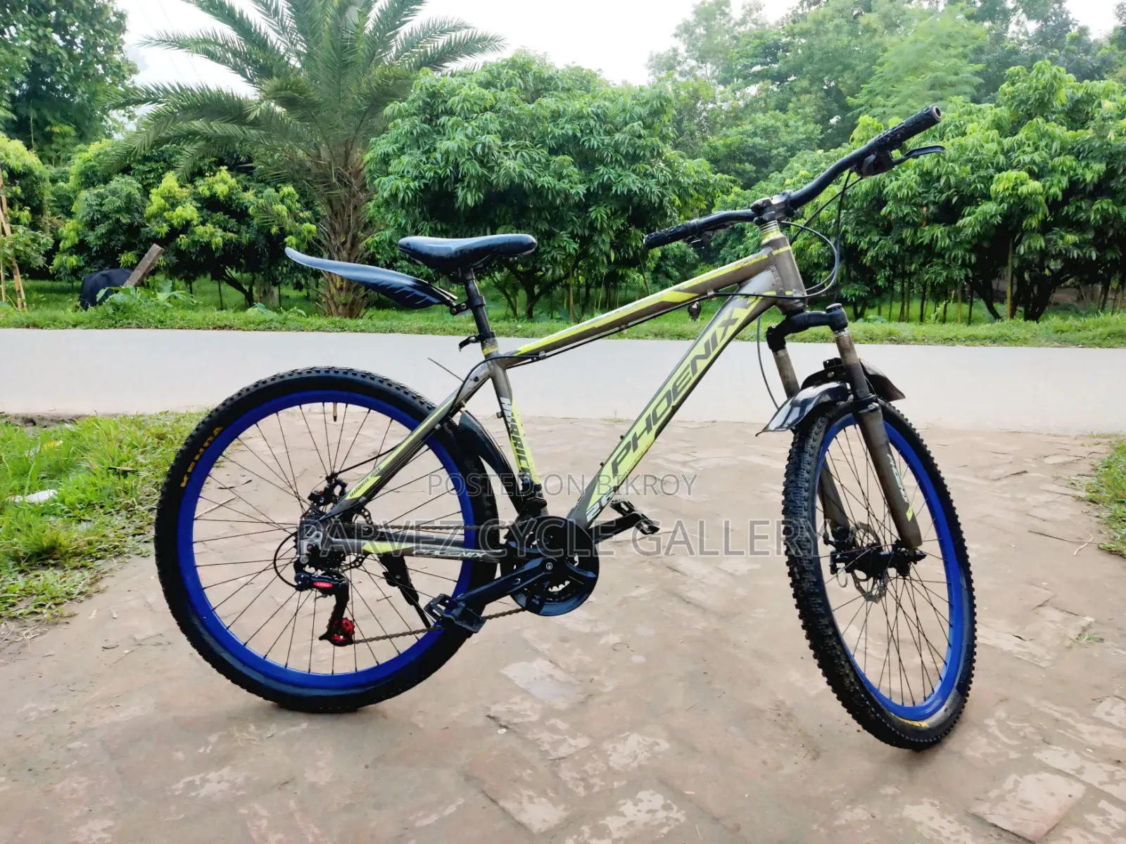 Phoenix 26-inch Gear Cycle – Aluminium Body, Rear Gear Working