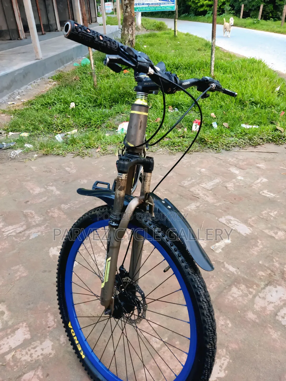 Phoenix 26-inch Gear Cycle – Aluminium Body, Rear Gear Working