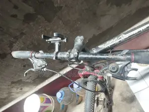 Phoenix Cycle