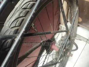 Phoenix Cycle