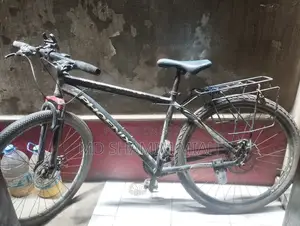 Phoenix Cycle
