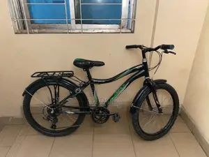 Prince Bicycle