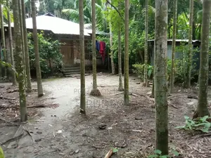 Furnished 3bdrm House in বরিশাল, Kawkhali for Sale