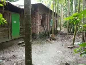 Furnished 3bdrm House in বরিশাল, Kawkhali for Sale