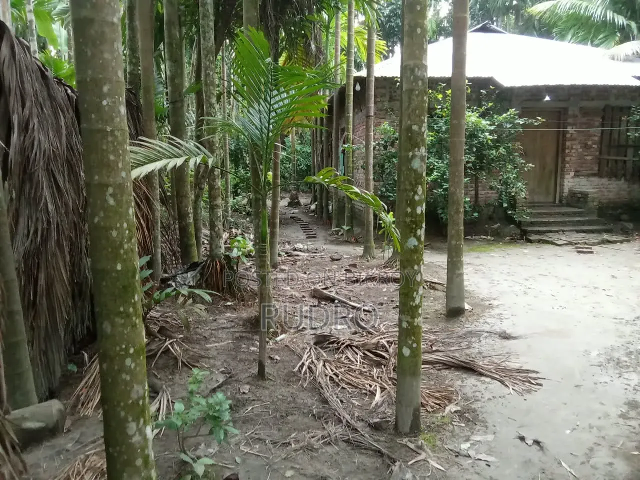 Furnished 3bdrm House in বরিশাল, Kawkhali for Sale