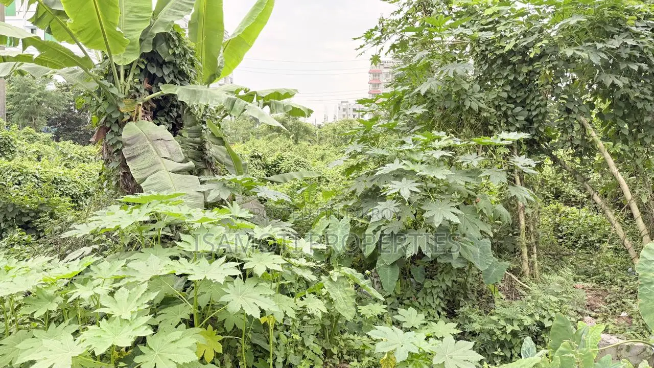 54 Feet Wide Road East Face 3 Katha Purbachal Sec 13