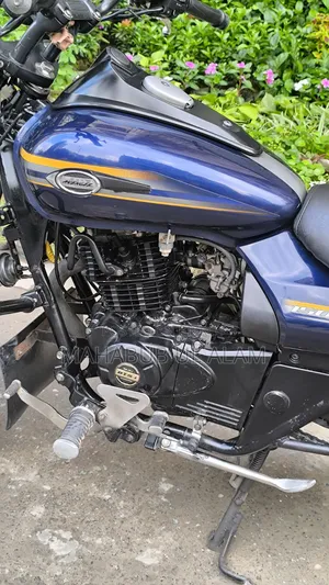 Bajaj Avenger 150 Street 2017 Blue