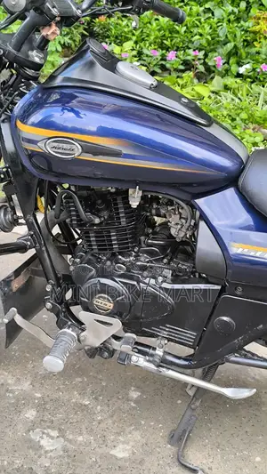 Bajaj Avenger 150 Street 2017 Blue