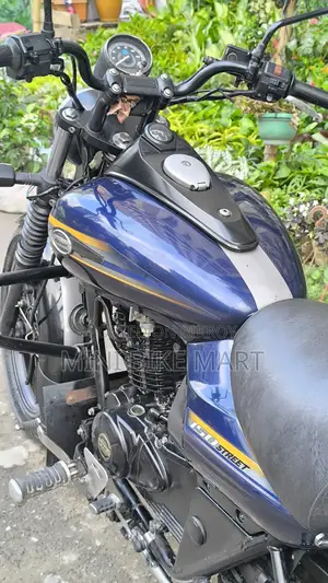 বাজাজ এভেঞ্জার ১৫০ স্ট্রিট ২০১৭ নীল