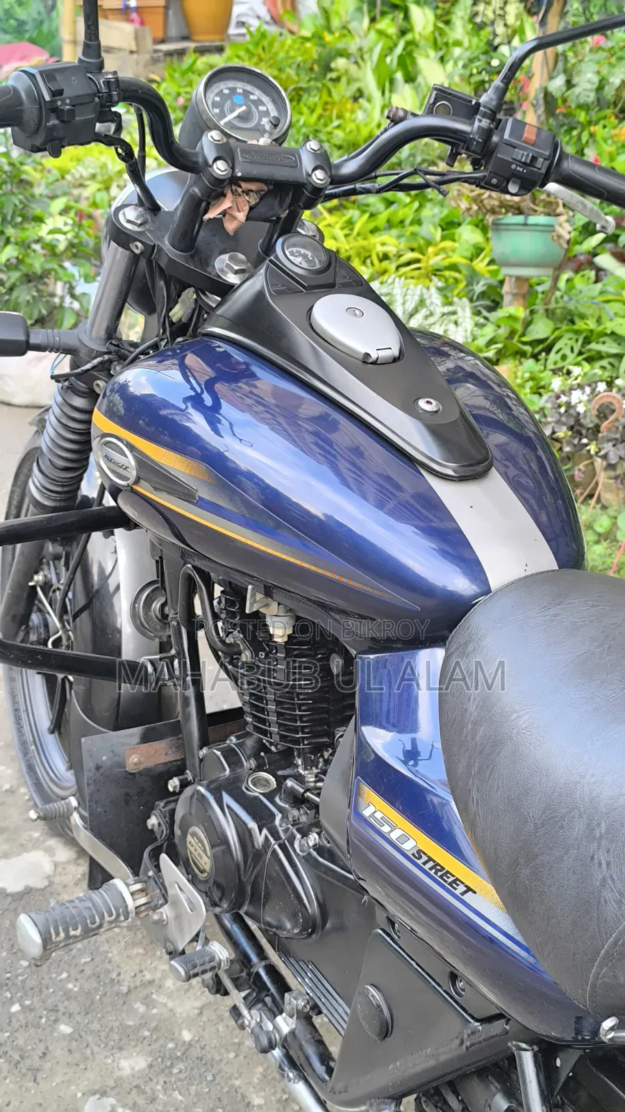 Bajaj Avenger 150 Street 2017 Blue