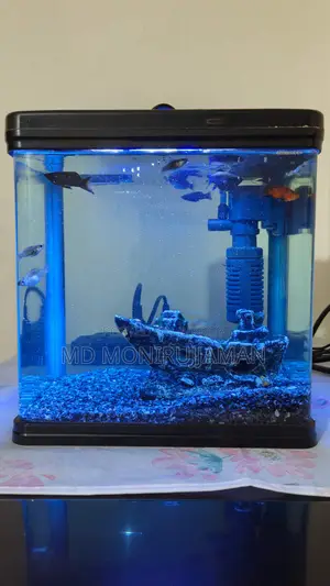 Chinese Fish Tank
