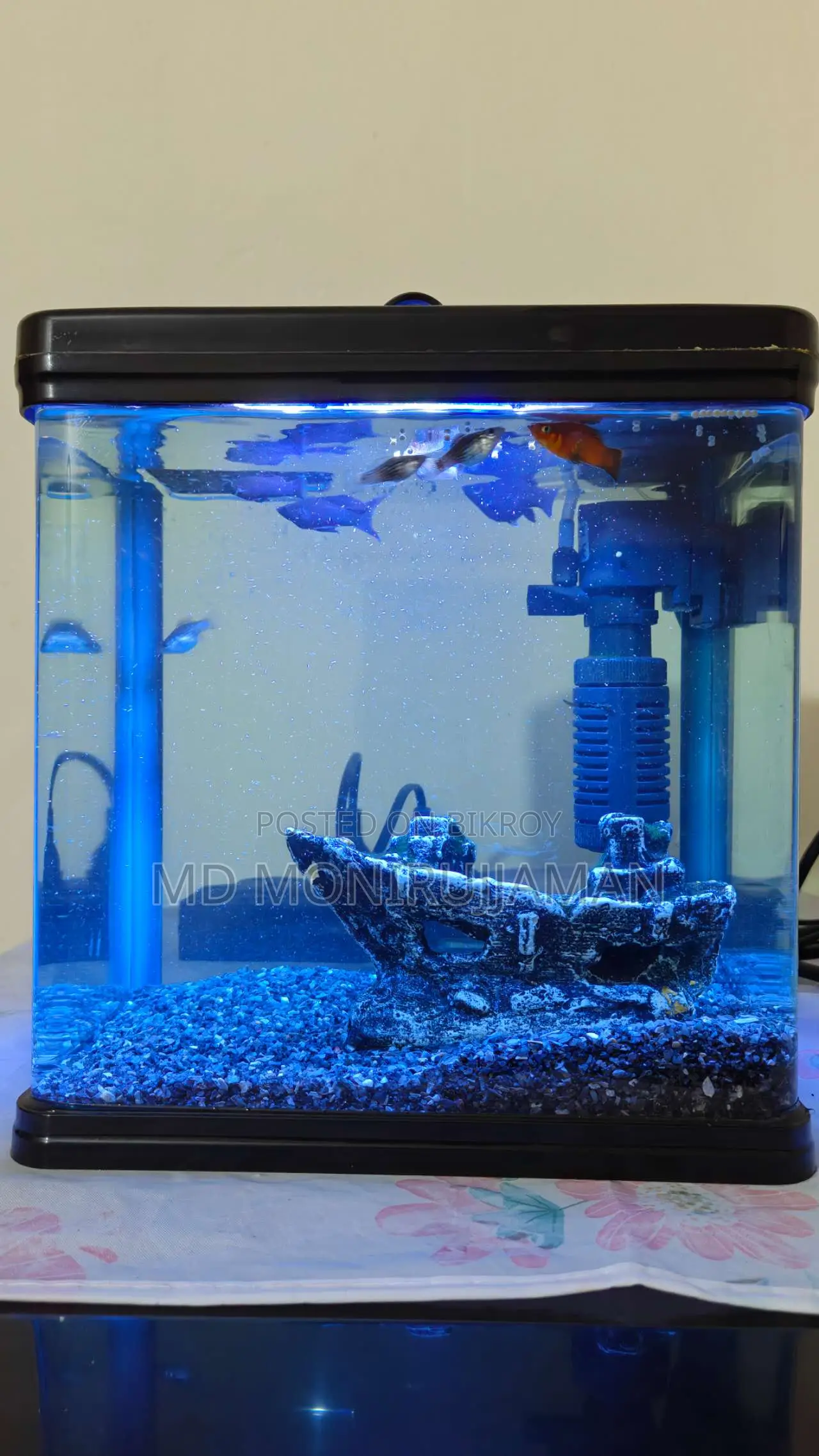 Chinese Fish Tank
