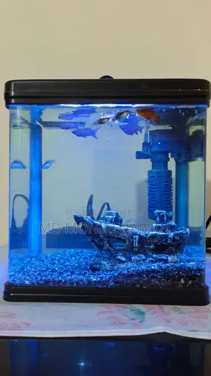 Chinese Fish Tank