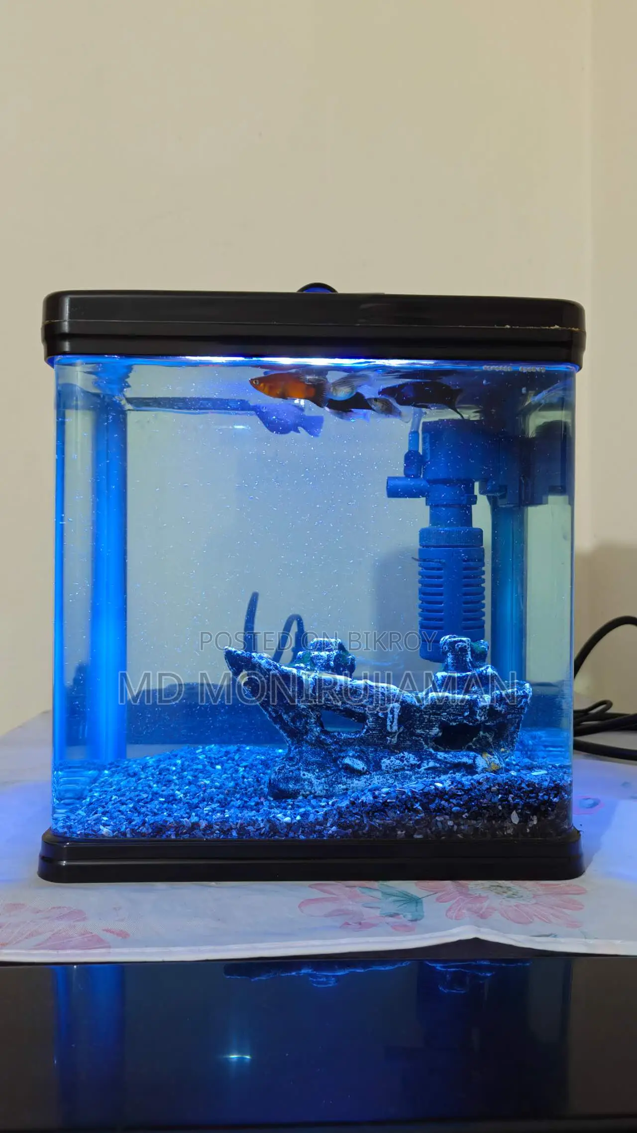Chinese Fish Tank