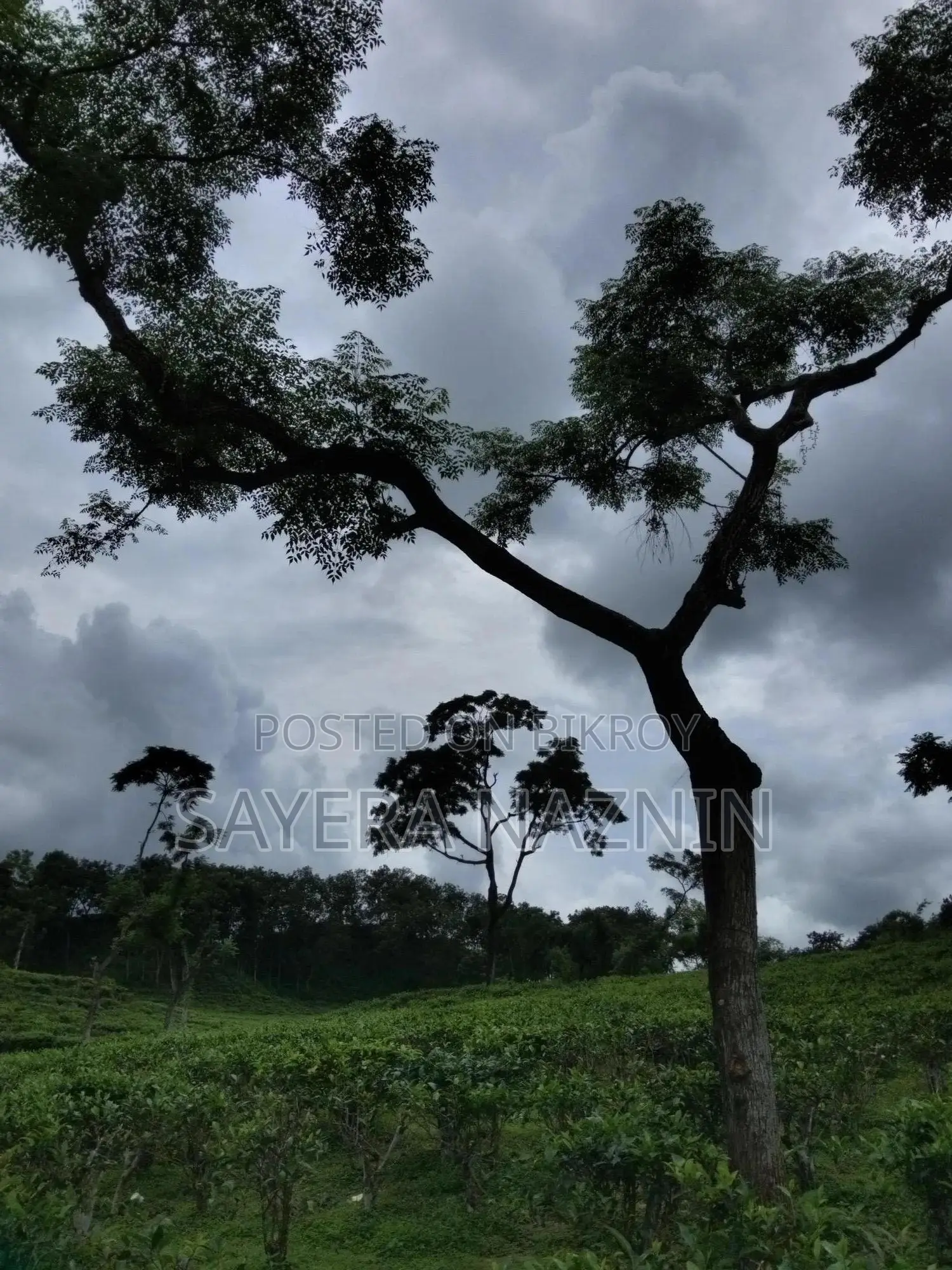 রিসেলিং কাজ শুরু করুন আমাদের সাথে