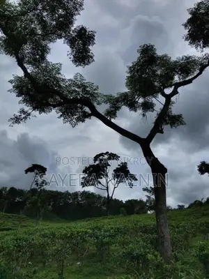 রিসেলিং কাজ শুরু করুন আমাদের সাথে