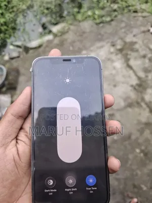Apple iPhone 12 Pro 256 GB Silver