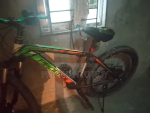 ফোনিক্স বাইসাইকেল