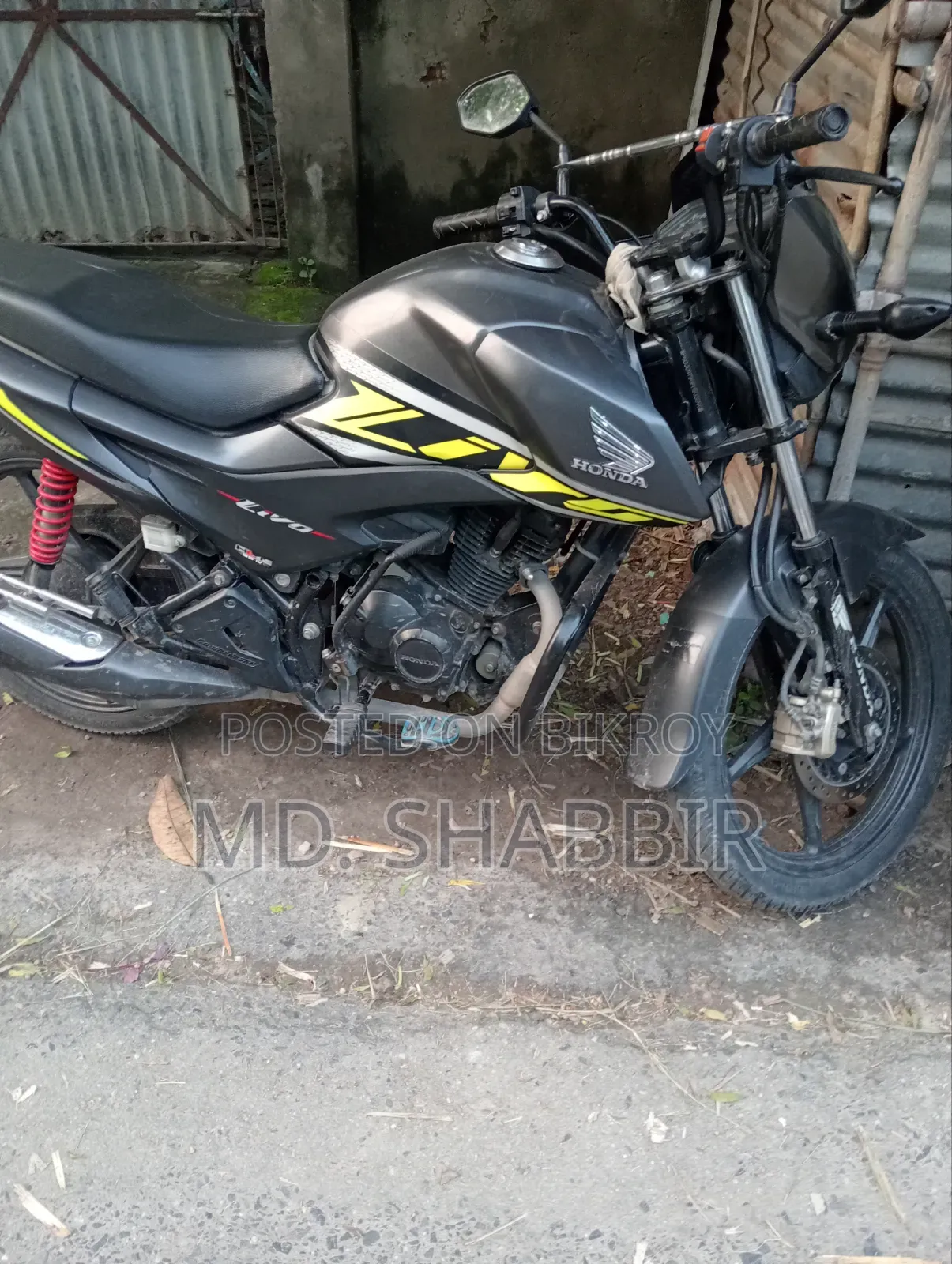 Honda Livo 2022 Gray