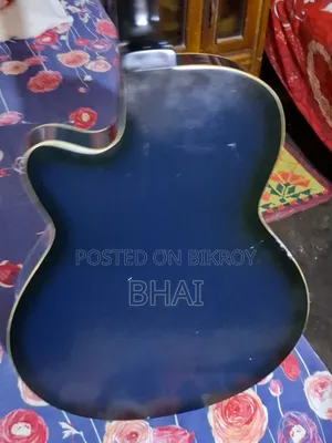 Semi-electric guitar for sale