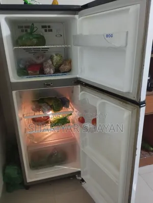 LG Brand Fridge