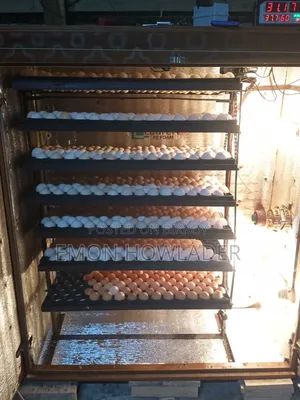 700 Eggs 700 Hatchery Incubator. Generator will be given at 50% price