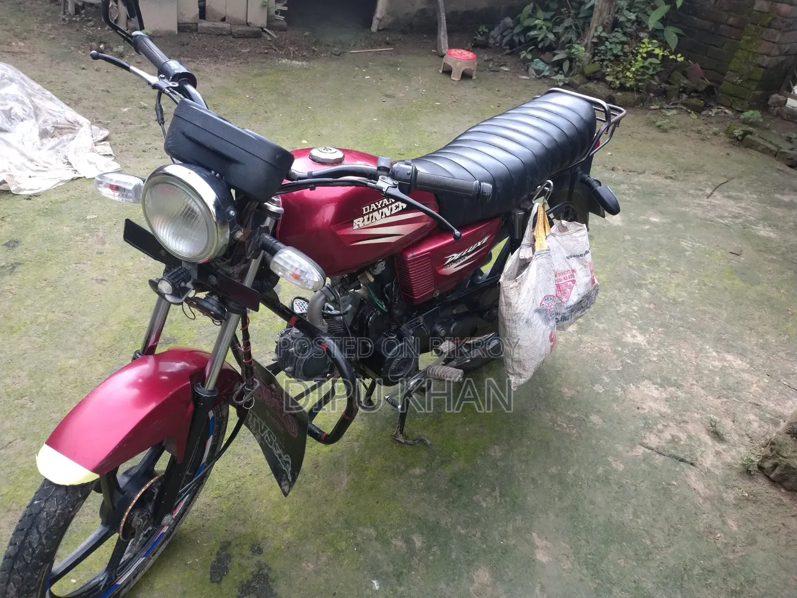 Dayang APOLLO 2022 Red