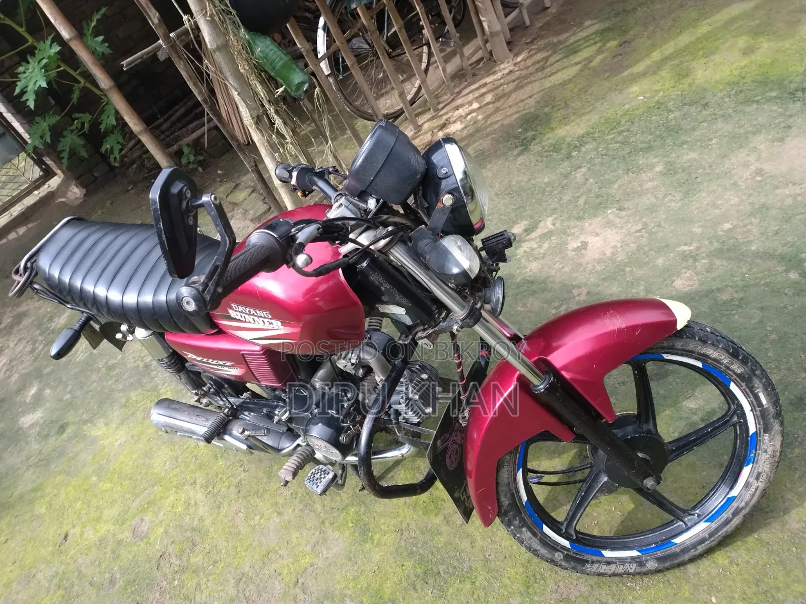 Dayang APOLLO 2022 Red