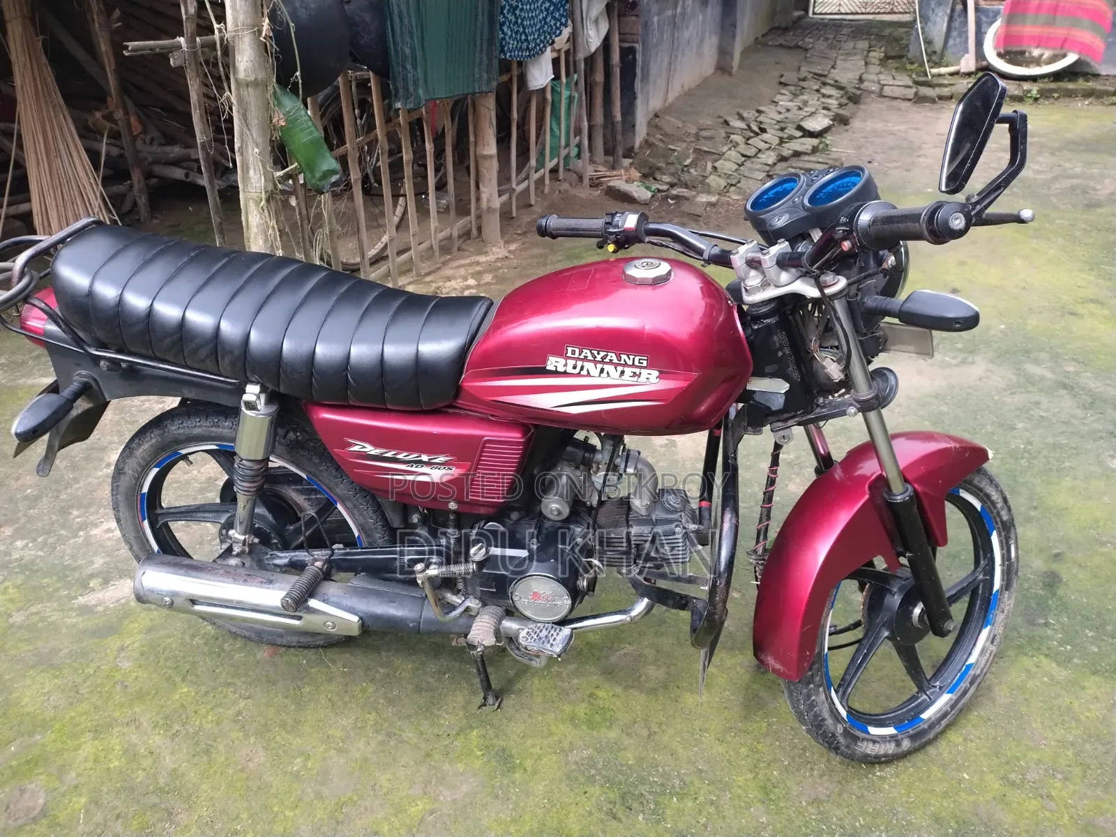 Dayang APOLLO 2022 Red