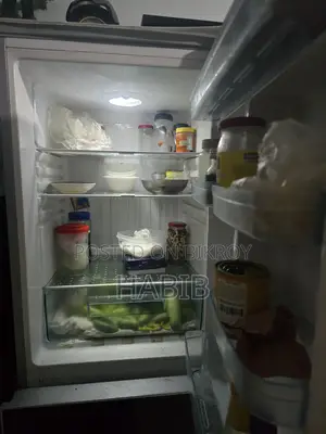 Singer Refrigerator