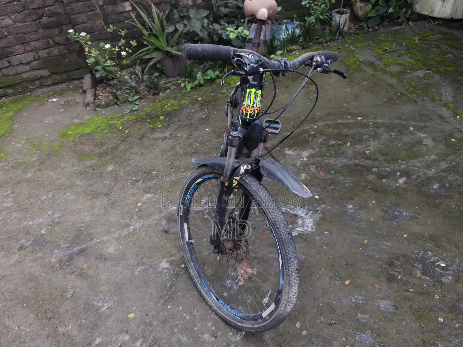 Gear Cycle
