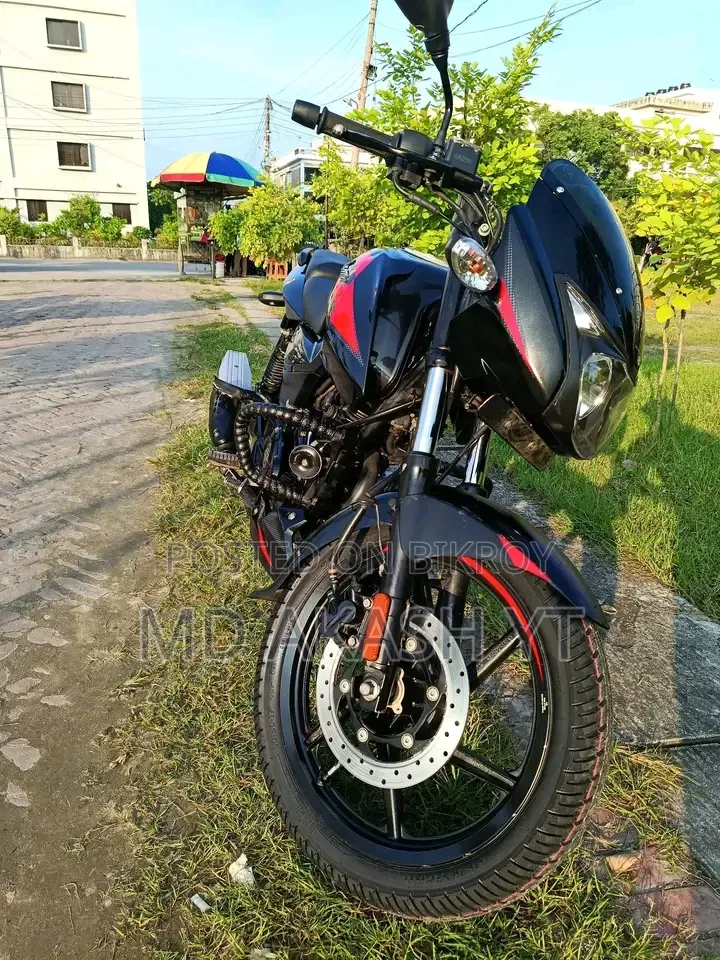 Bajaj Pulsar 150 2024 Black