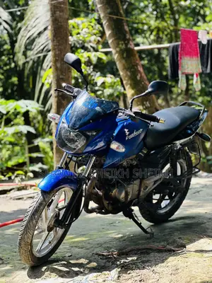Bajaj Pulsar 150 2015 Blue