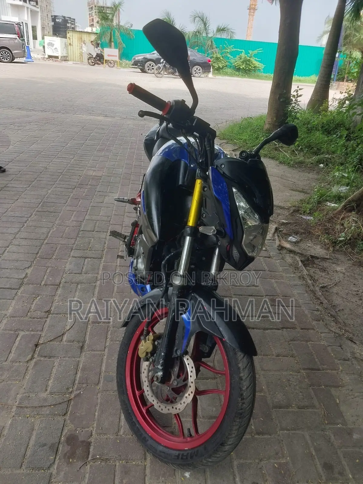 Bajaj Pulsar NS 200 2019 Blue