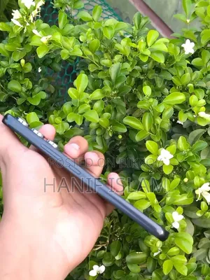 Samsung Galaxy A54 5G 256 GB Black