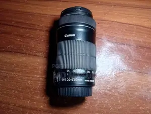 Canon 55-250 STM