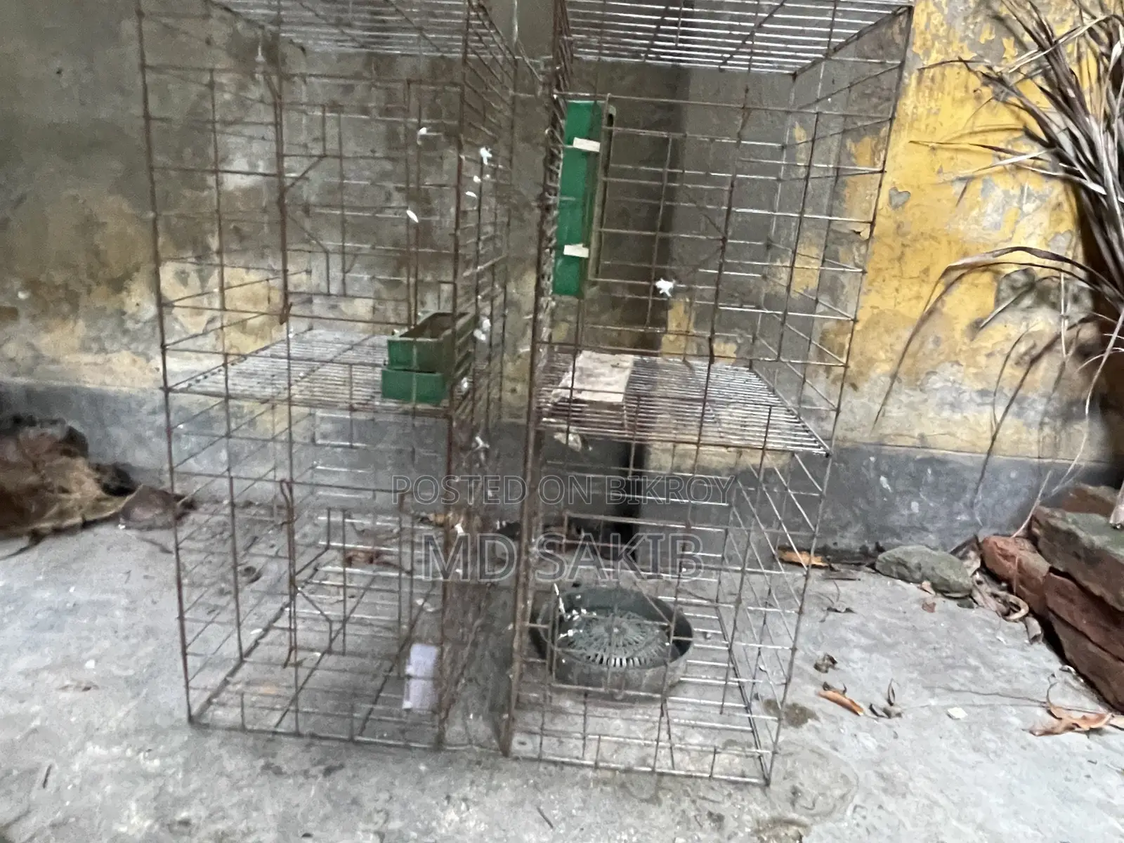 খাঁচা ৪ রুম ১৮/২০ ইঞ্চি