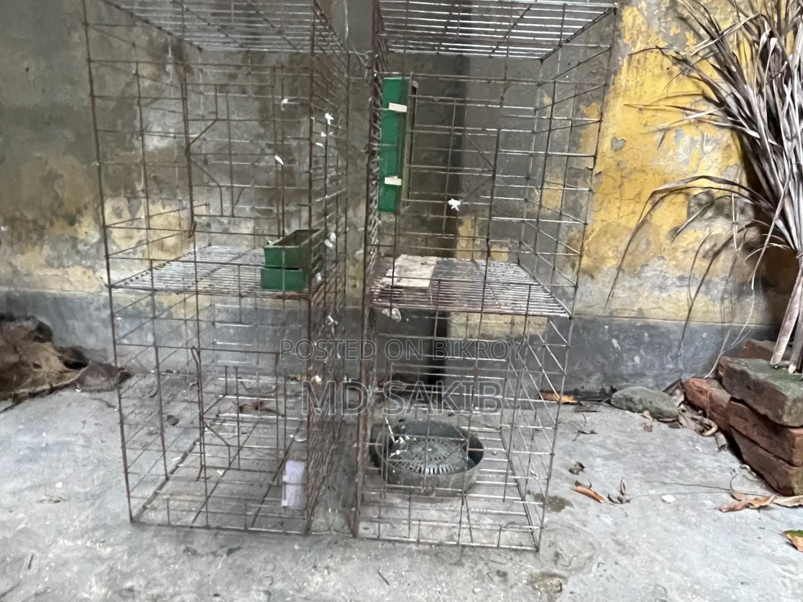 খাঁচা ৪ রুম ১৮/২০ ইঞ্চি