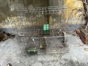 খাঁচা ৪ রুম ১৮/২০ ইঞ্চি