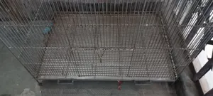 পাখির খাঁচা