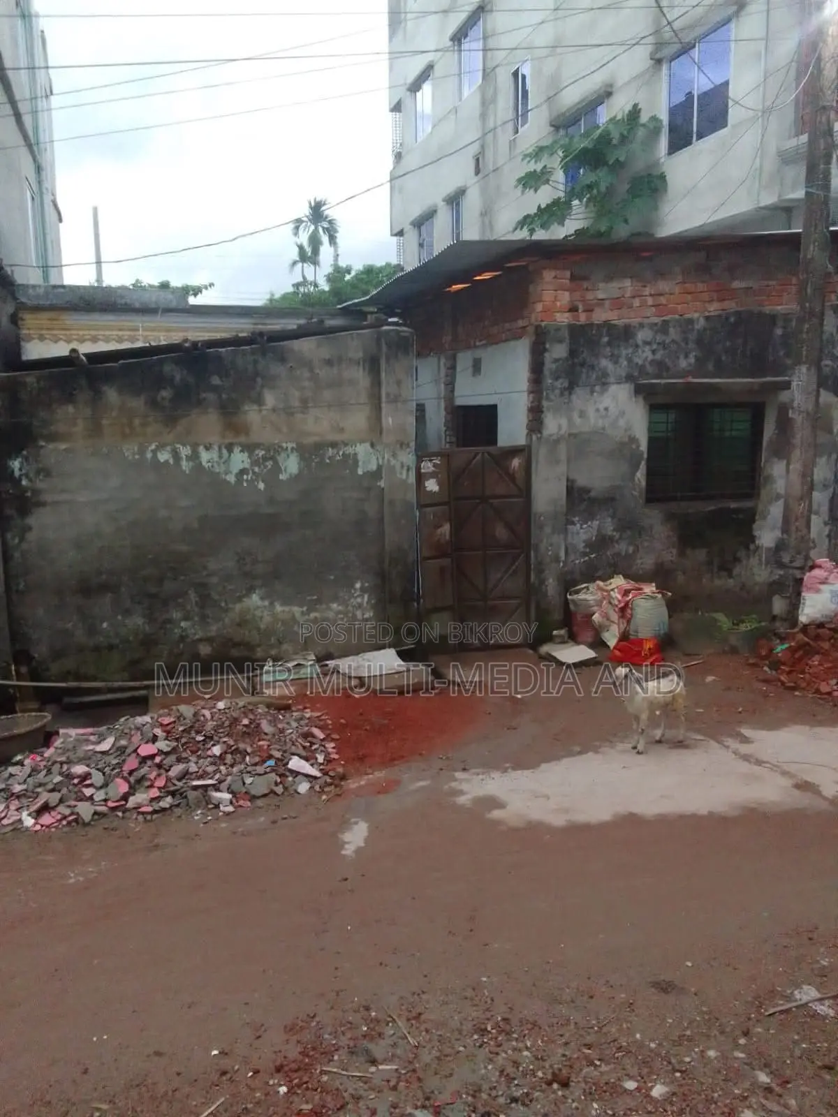 জরুরি ৩ গন্ডার প্লট বিক্রয় হবে