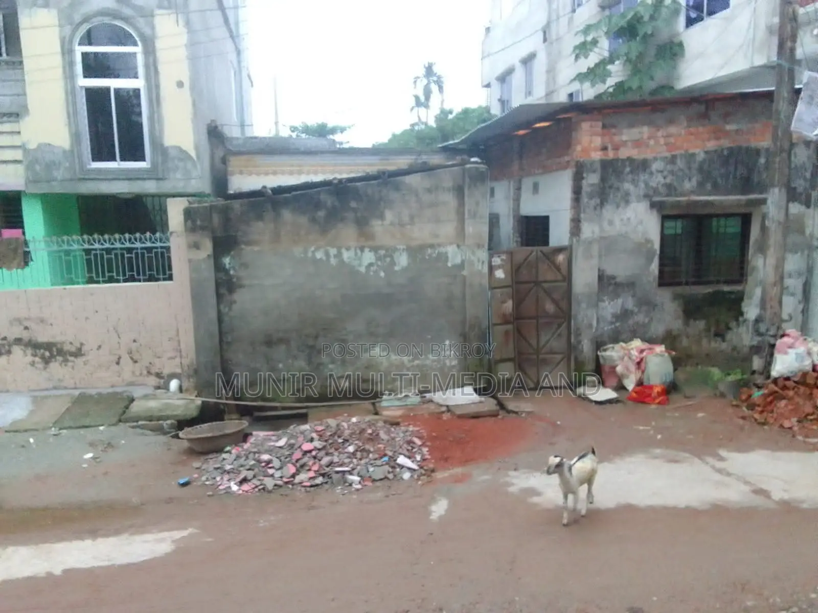 জরুরি ৩ গন্ডার প্লট বিক্রয় হবে