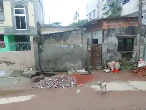 জরুরি ৩ গন্ডার প্লট বিক্রয় হবে