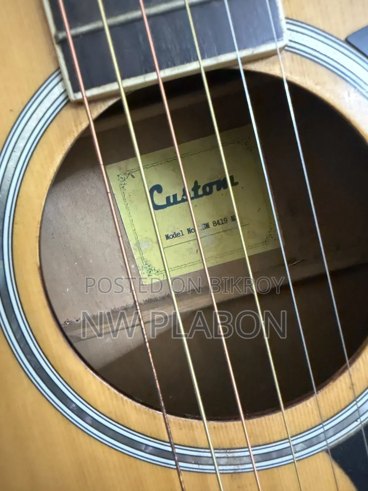 Custom Guitar With Fishman Equaliser